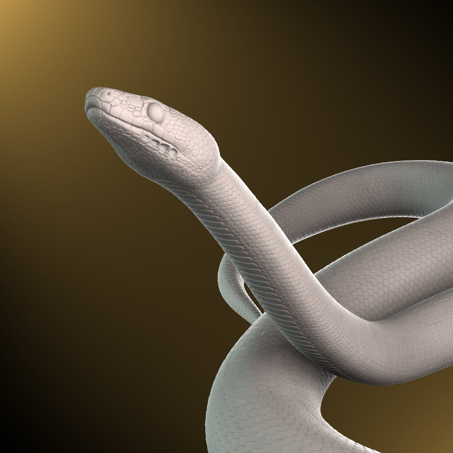 Childrens python - pose 3