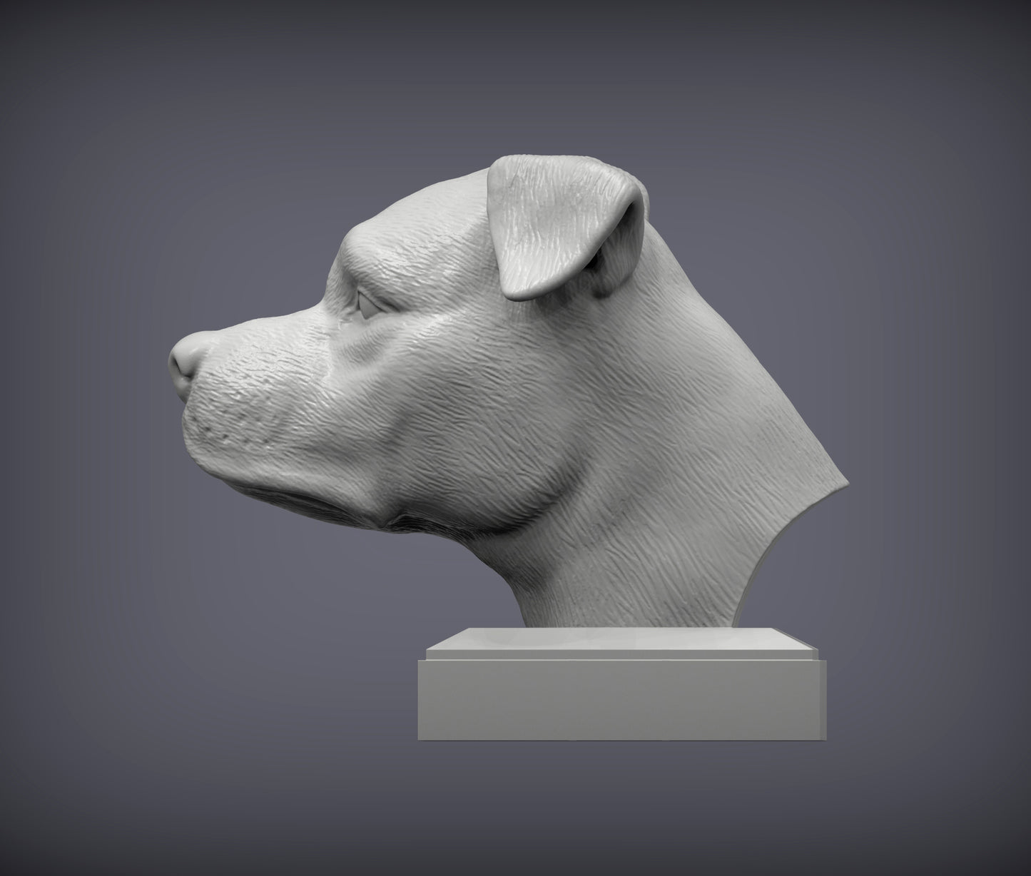 American Staffy Bust
