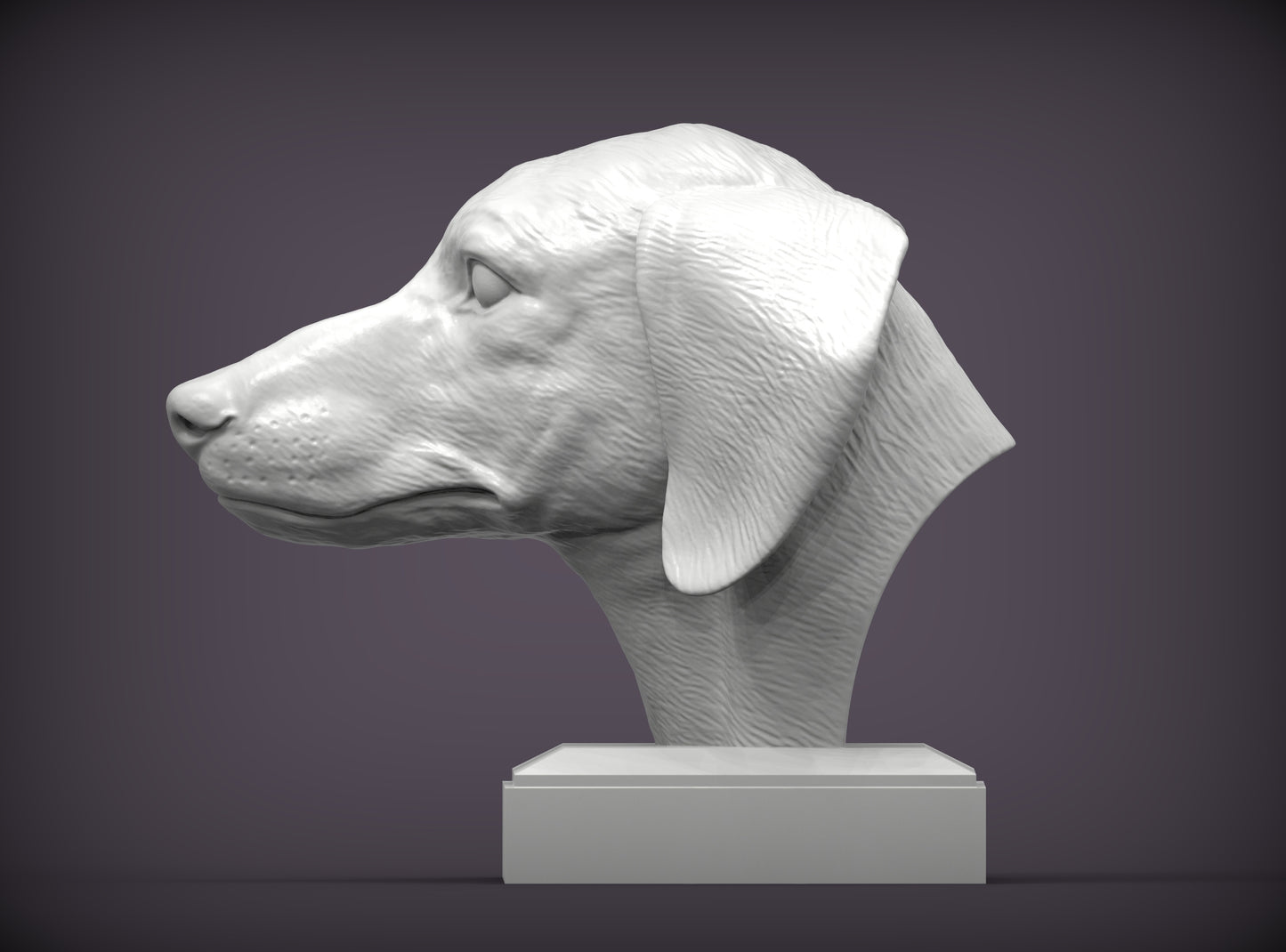 Dachshund (short haired) Bust