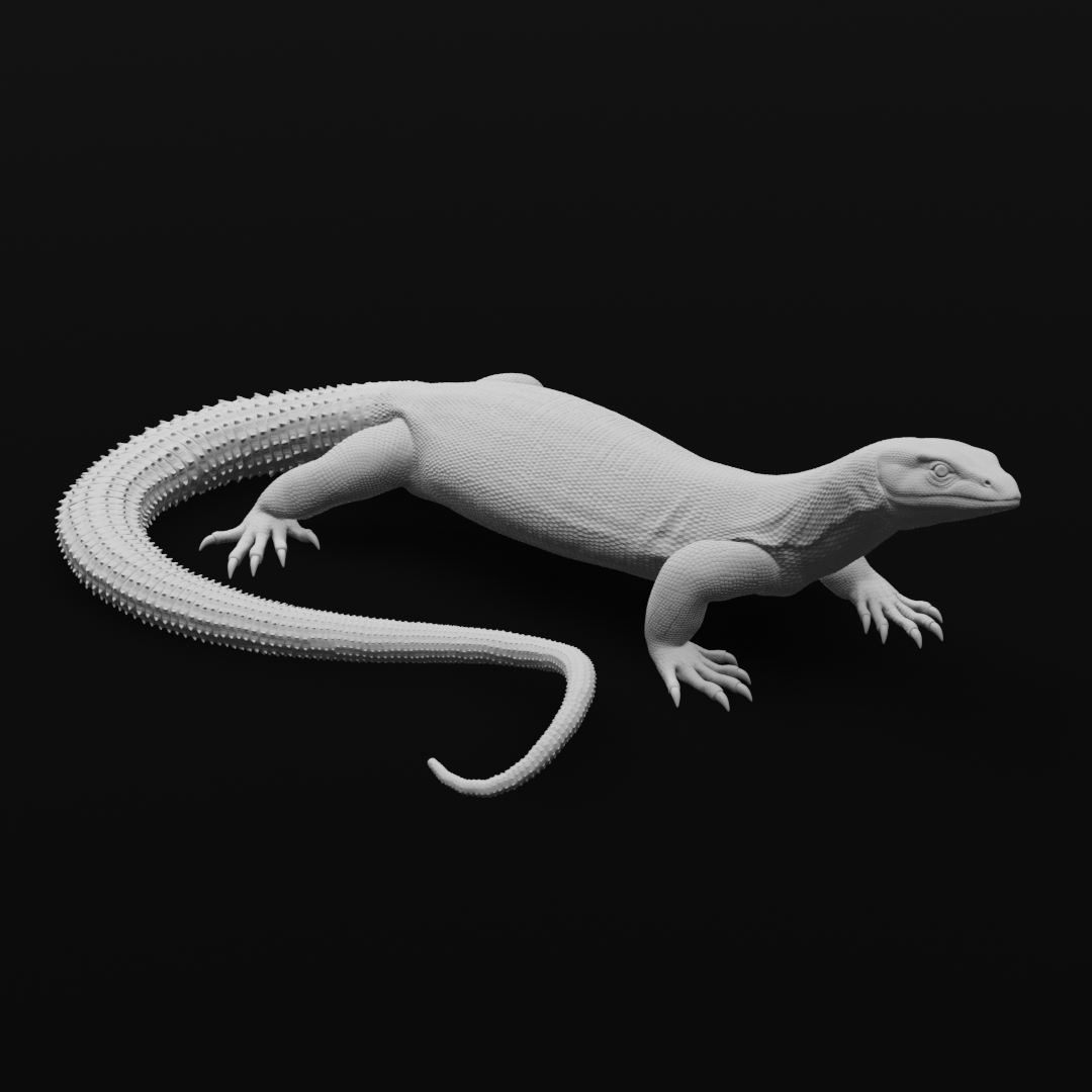 Ackie monitor - Full tail flex - 20cm