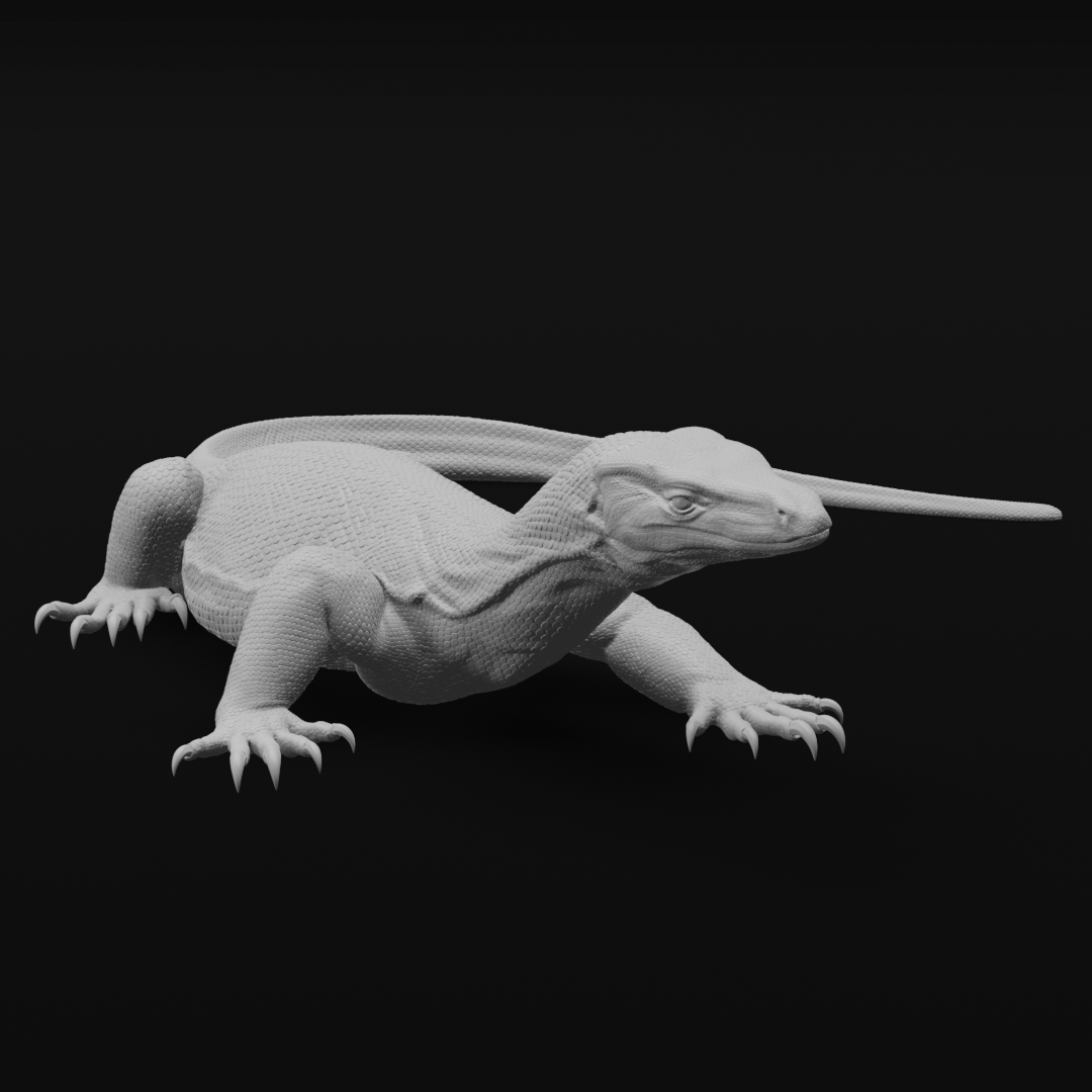 Asian Water monitor - At rest - 30cm