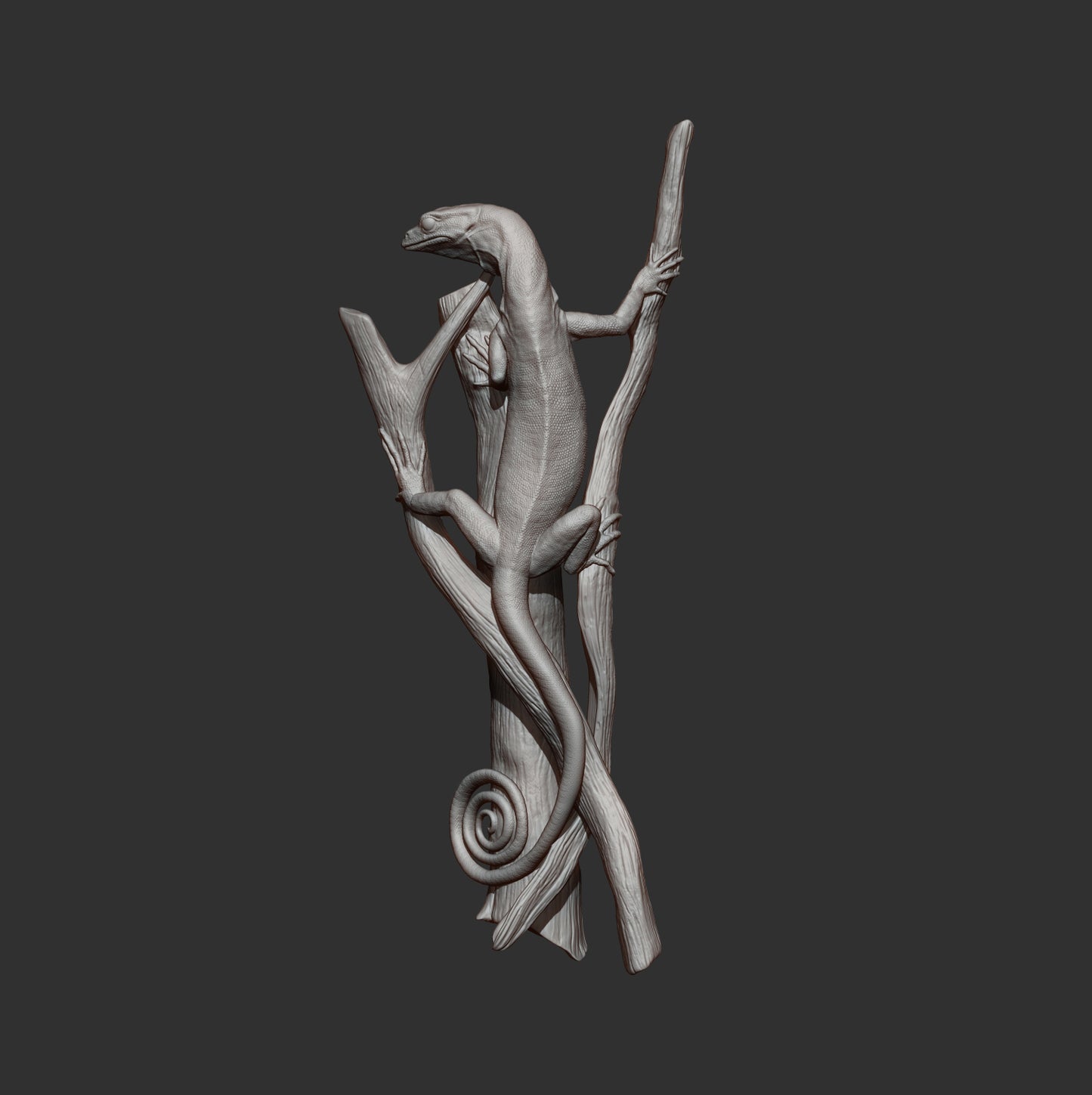 Emerald tree monitor - Varanus prasinus