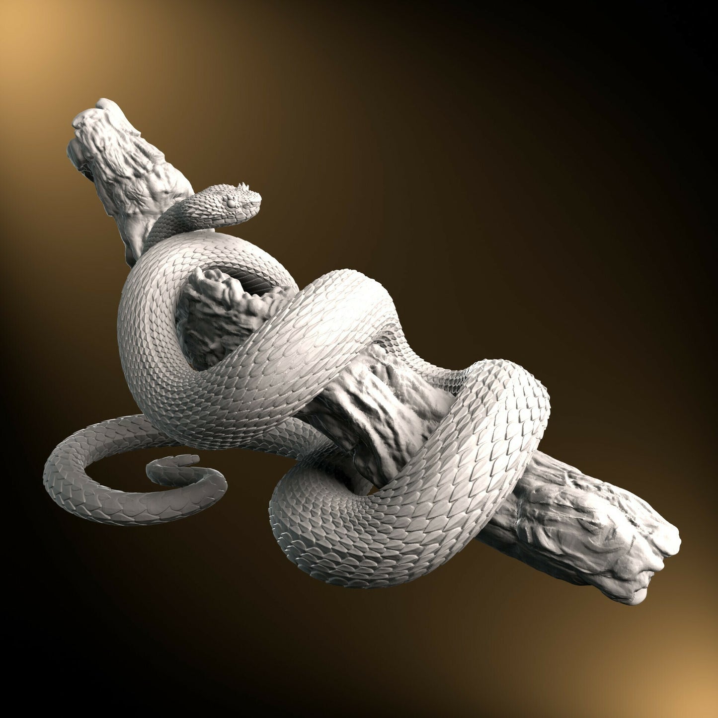 Eyelash Viper - On branch - 25cm