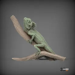 Boyd's forest dragon - On branch