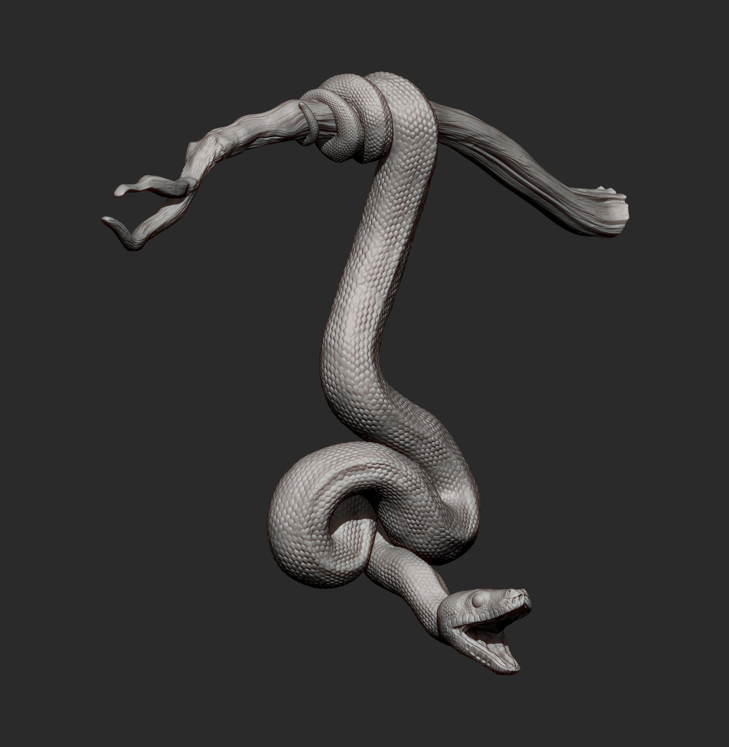 Green tree python - Defensive