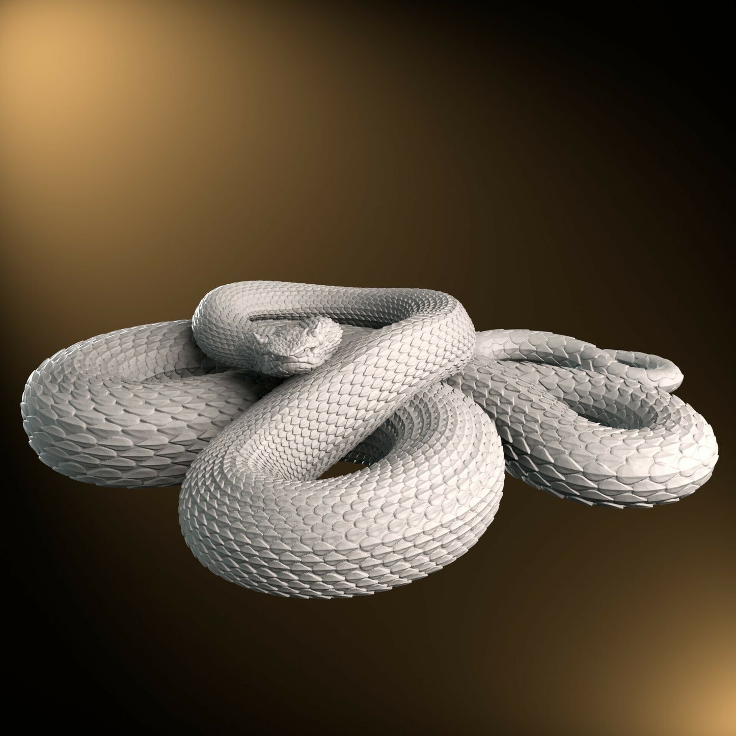 Eyelash Viper - Coiled - 25cm