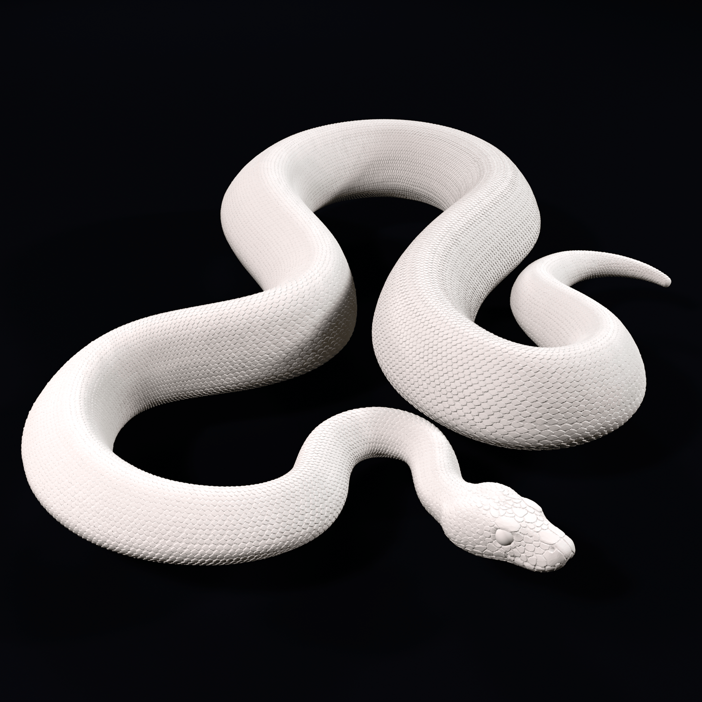 Ball python - Curved - 20cm