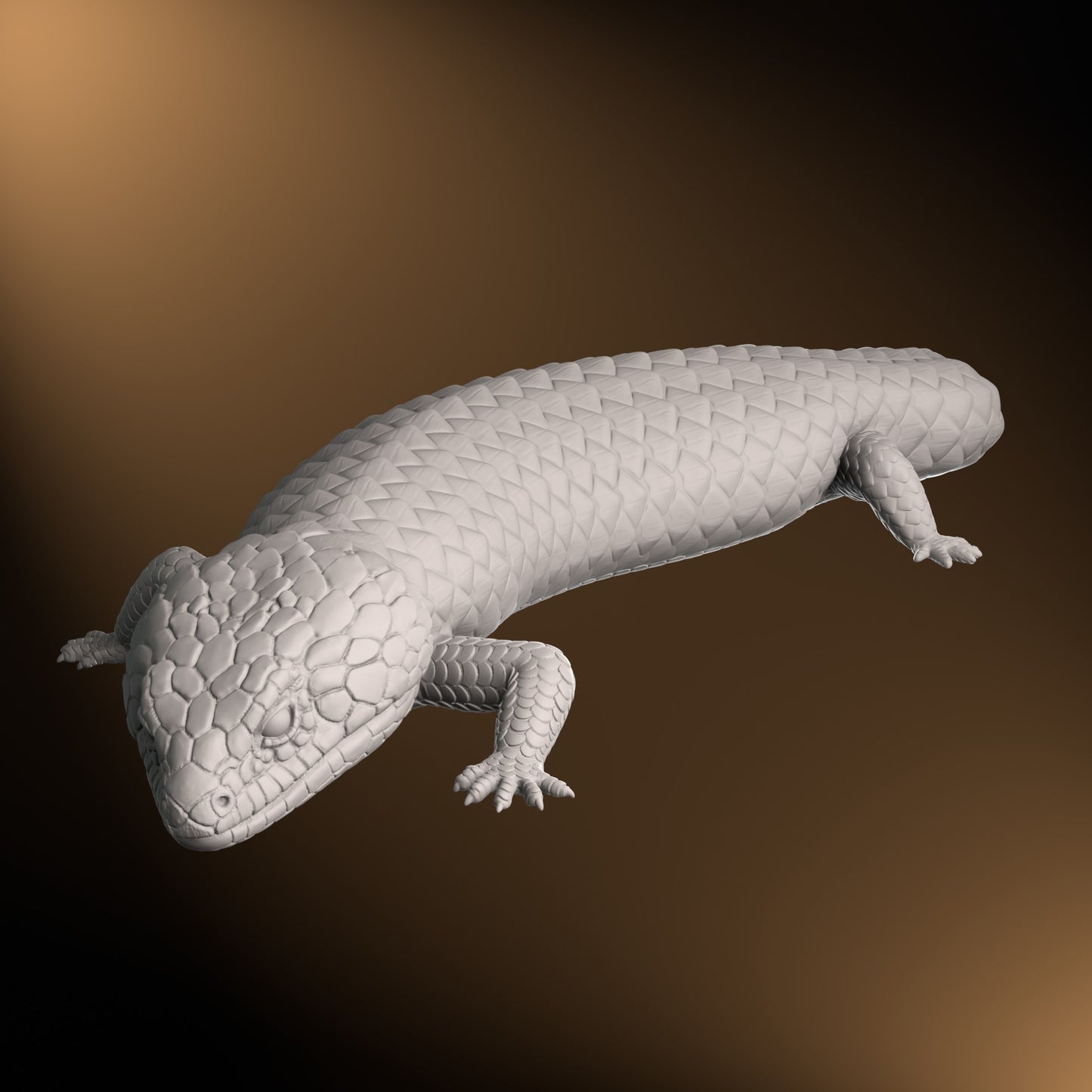 Shingleback - Slight bend posture - 40cm