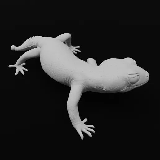 Pernatty knob tail gecko - pose 2