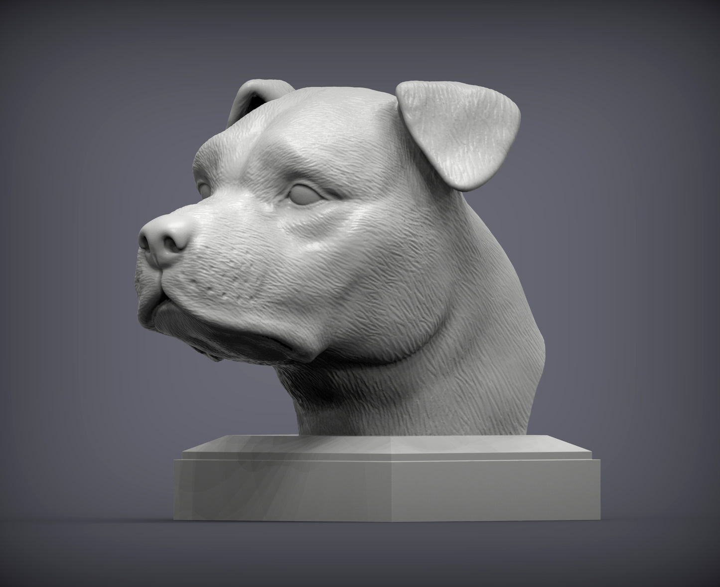 American Staffy Bust