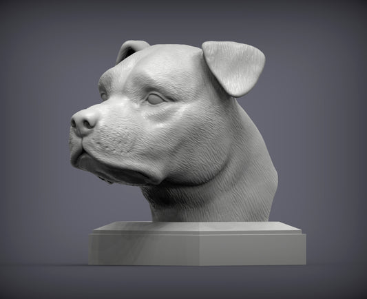 American Staffy Bust
