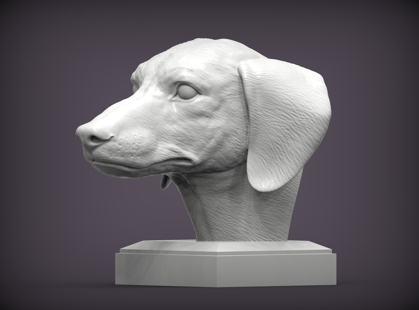 Dachshund (short haired) Bust