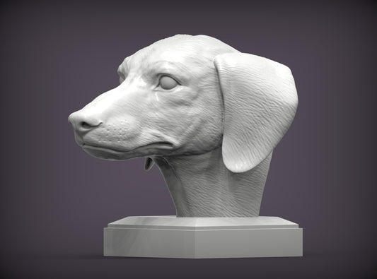 Dachshund (short haired) Bust