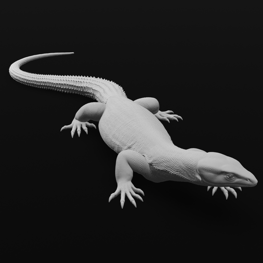 Ackie monitor - Look left - 20cm