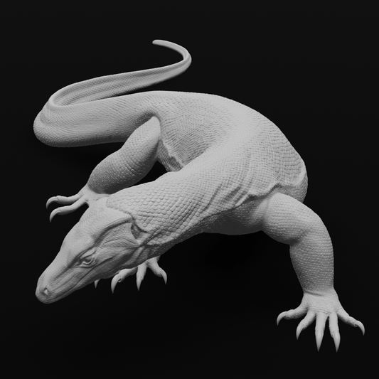 Asian Water monitor - S-Shape - 30cm