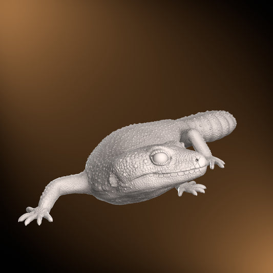 Leopard gecko - Turning pose