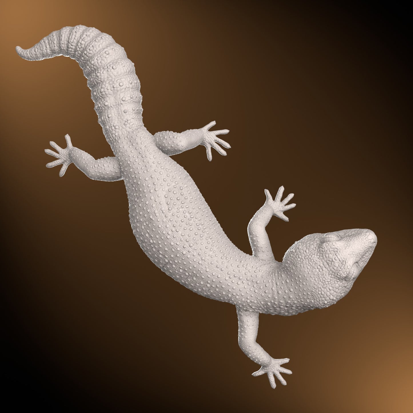 Leopard gecko - Turning pose