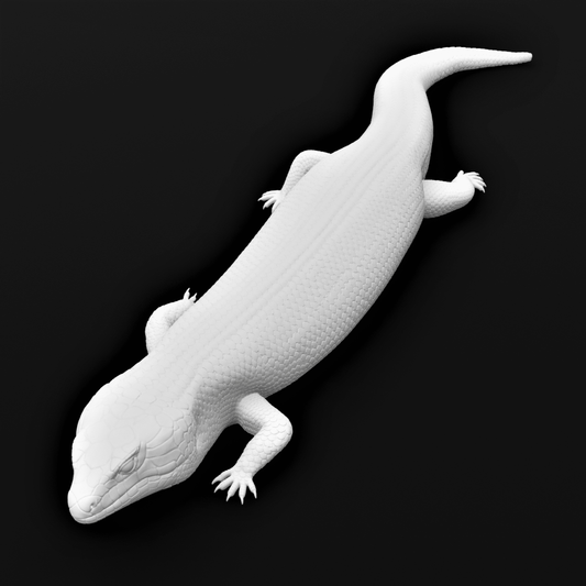 Blue tongue skink - Walking posture - 40cm