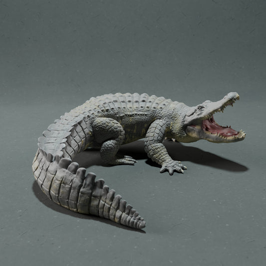 American alligator - open mouth