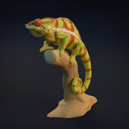 Chameleon on branch