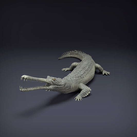 Gharial laying