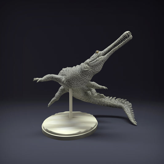Gharial swimming