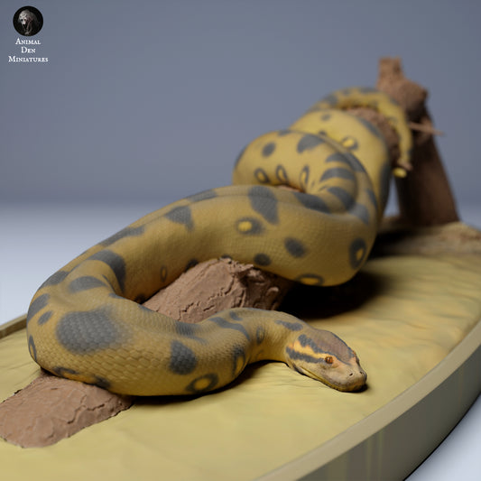 Green anaconda