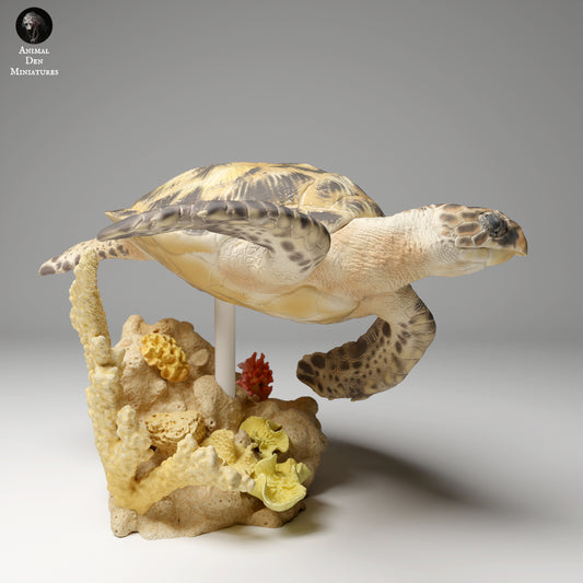 Hawksbill sea turtle swimming