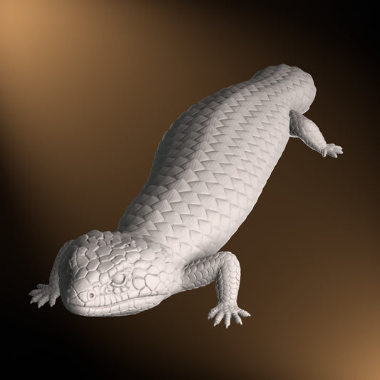 Shingleback - Straight posture - 40cm